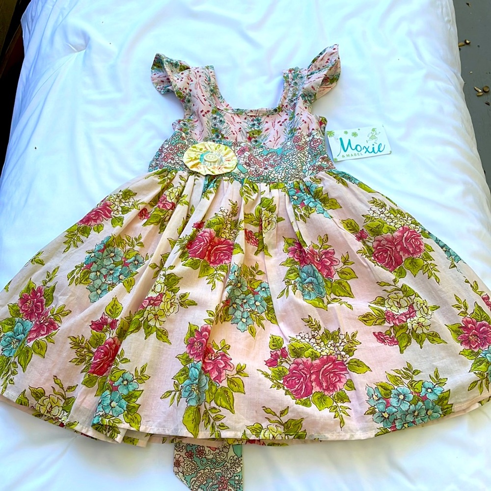 Moxie & Mabel size 18 mo. Party dress. Pink floral.